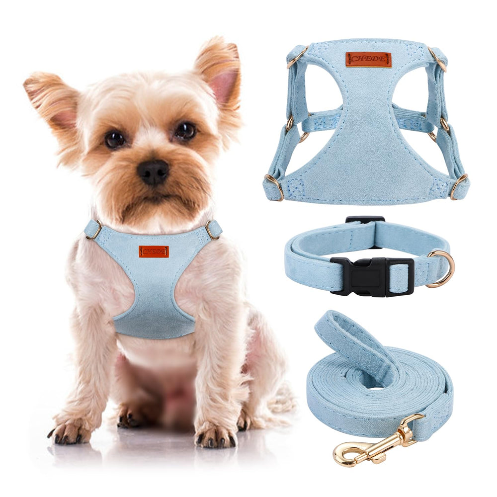 Chede No Pull Harness blue XXS on a small dog for secure, comfortable fit