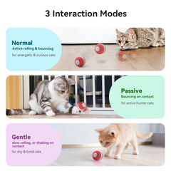 Cheerble cat ball toy furry surface inviting soft chasing