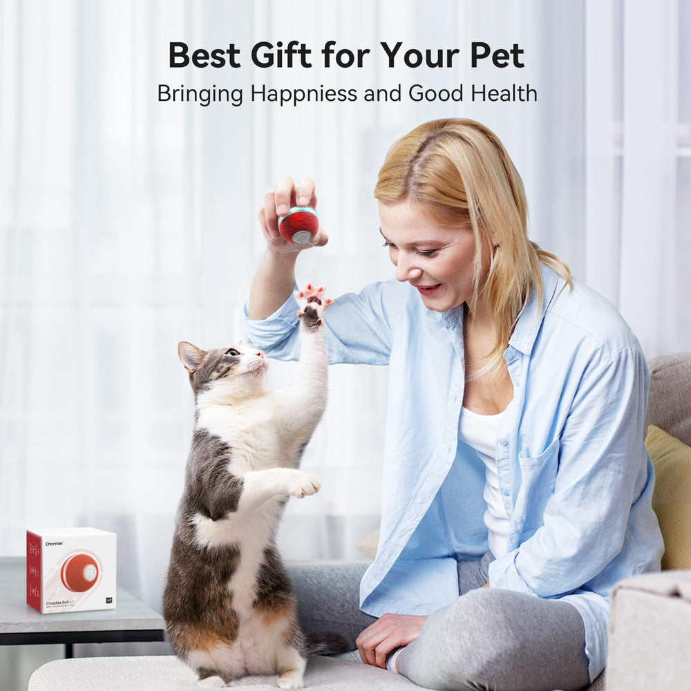 Cheerble cat ball toy gift pack for cat lovers