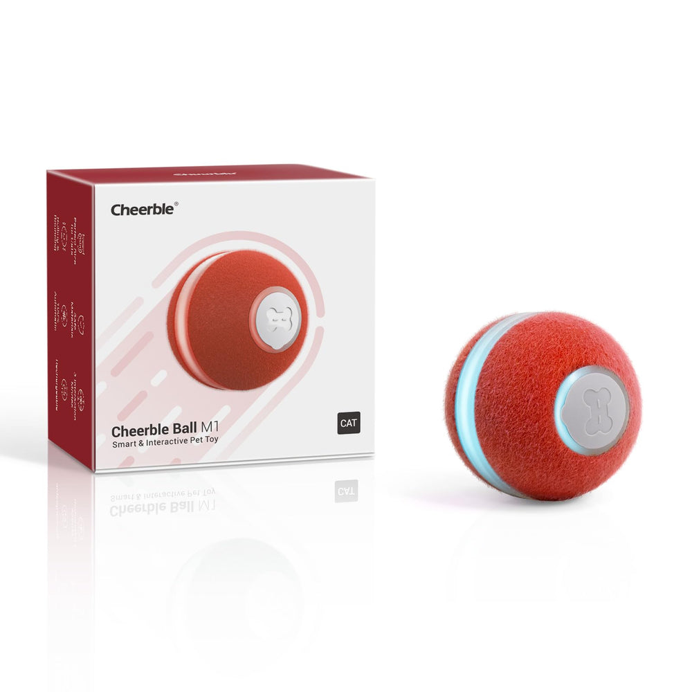Cheerble cat ball toy with LED light for engaging night play
