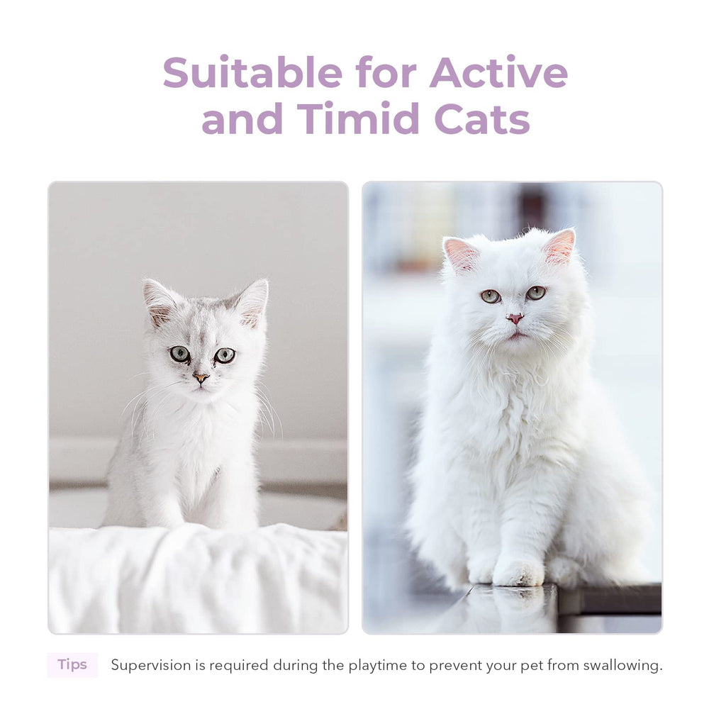 Cheerble Cat Ball Toy one-point-seven-inch diameter ideal for small cats and kittens