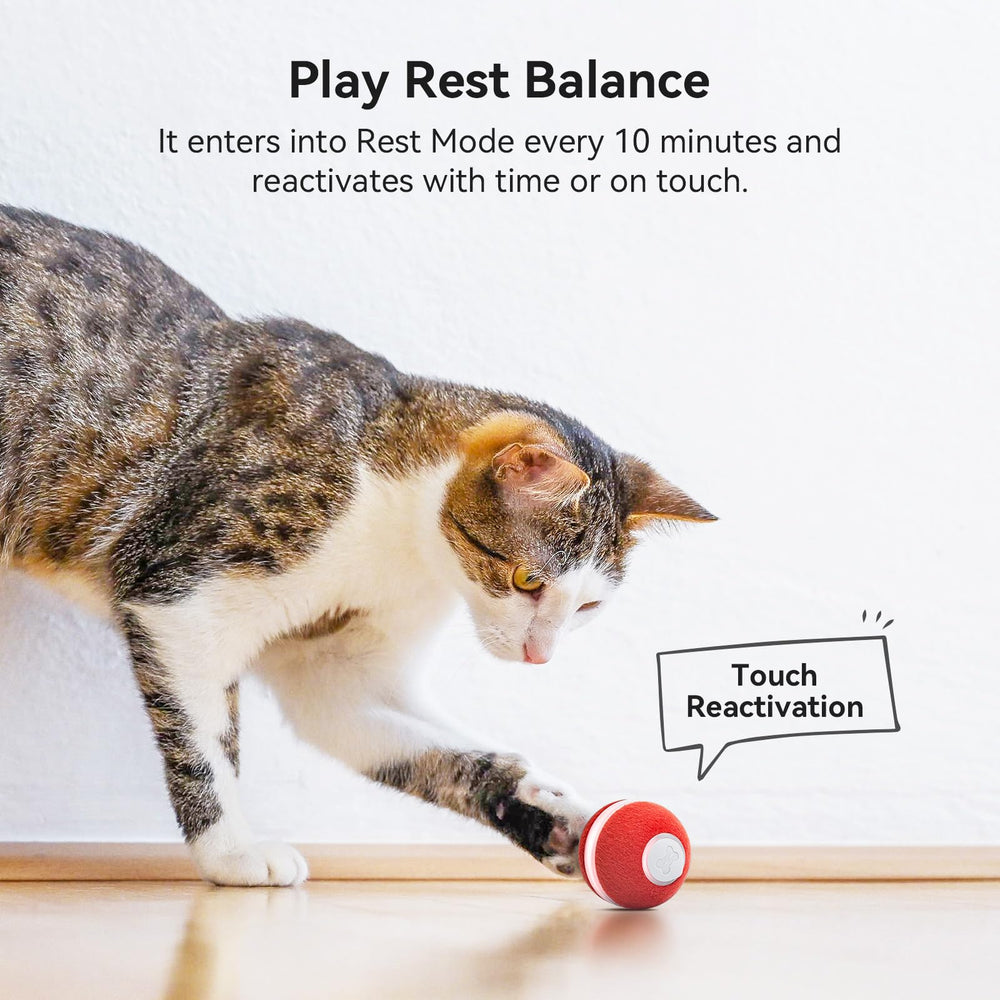 Cheerble cat ball toy play-rest cycle supports balanced activity