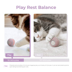 Cheerble Cat Ball Toy three modes normal, passive, gentle to suit cat mood