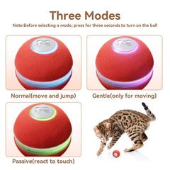 Cheerble red cat ball with LED lights attracts curiosity during play