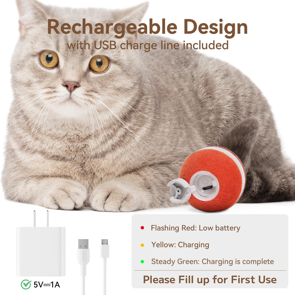 Cheerble cat ball red in passive mode invites casual play