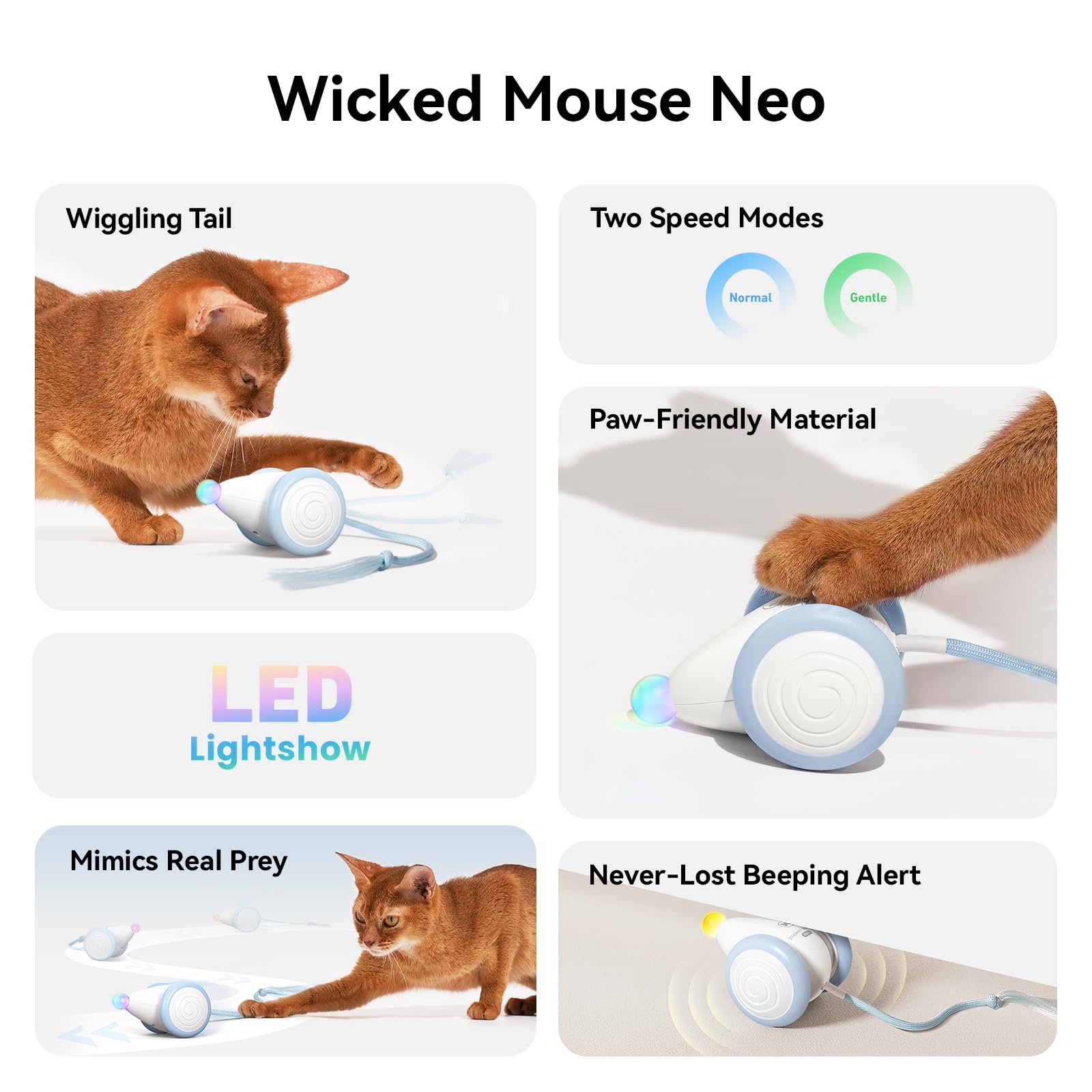 Cheerble Neo Mouse glow-nose detail sparks curious hunting-like engagement