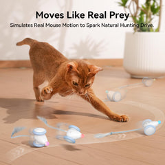 Cheerble Neo Mouse two-modes shines during active or gentle sessions