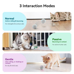 Cheerble ball with LED lights engages cats during nighttime play