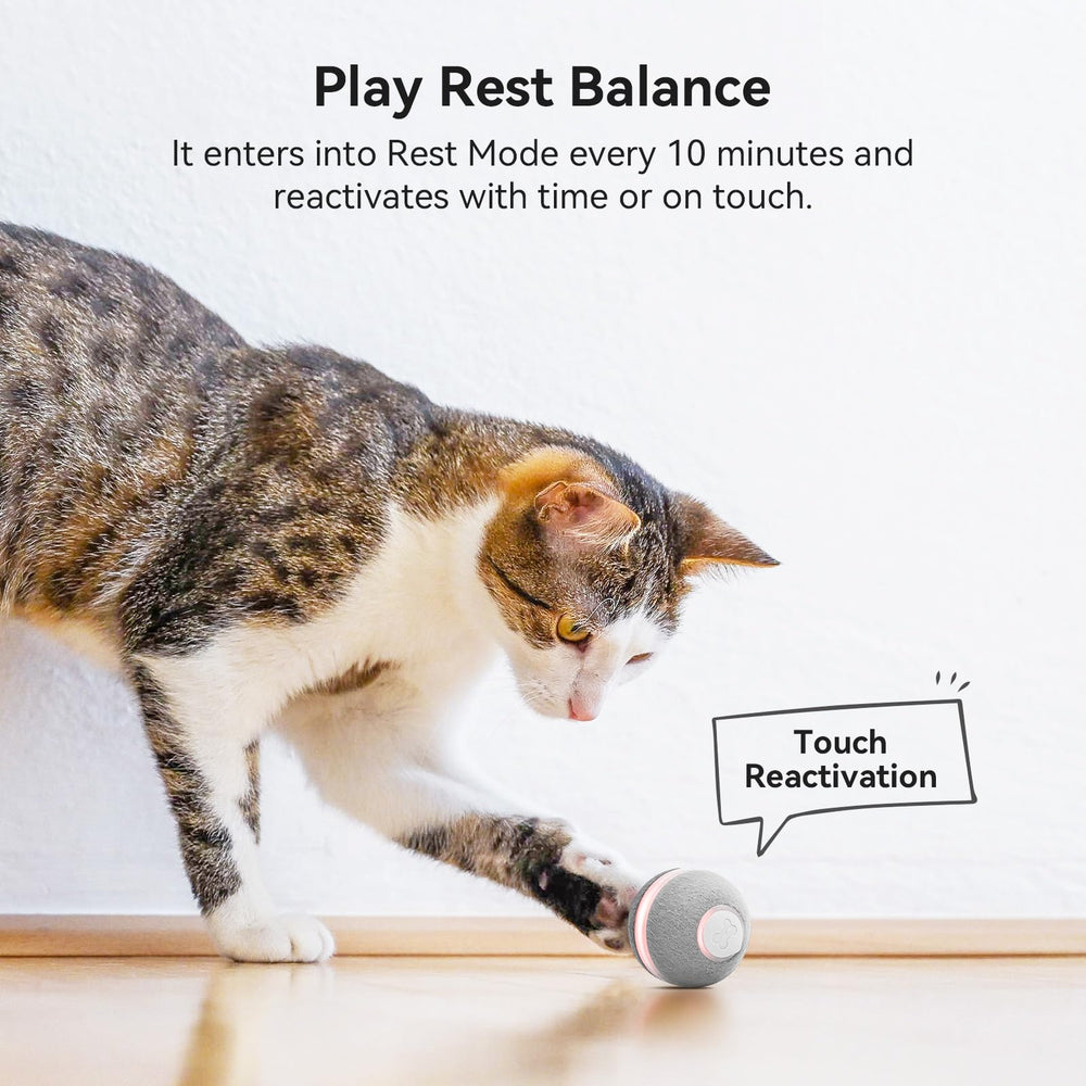 Cheerble ball demonstrates auto stop cycle for controlled play sessions