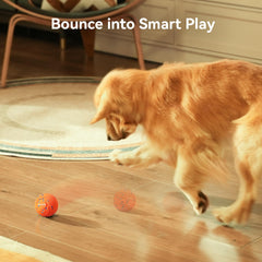 Cheerble Wicked Ball AIR replaceable shell demonstrates chew-resistant outer layer and easy maintenance.