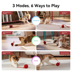 Cheerble Wicked Ball Duo2 dual shells offer customizable fun