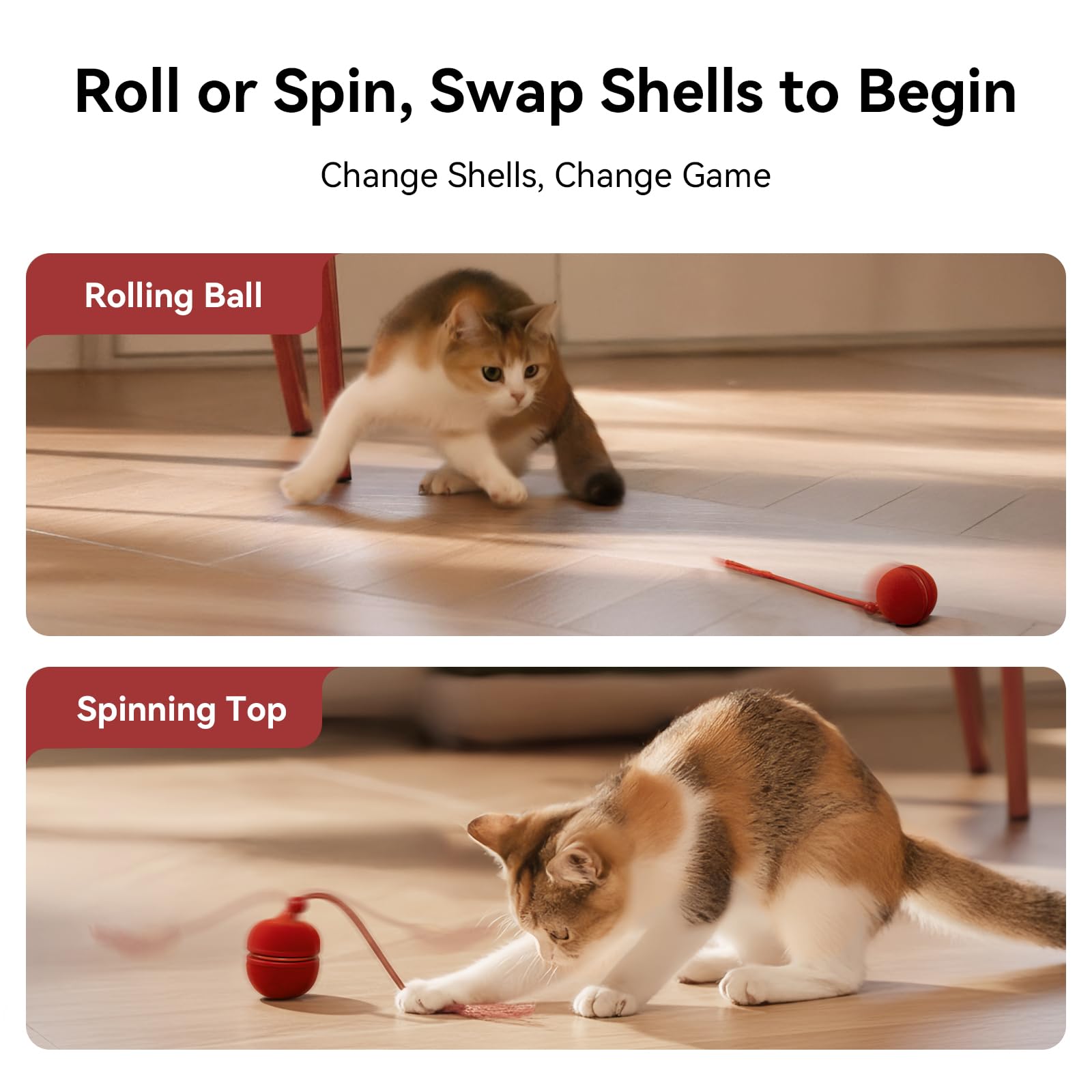 Cheerble Wicked Ball Duo2 compatibility with hardwood and carpet