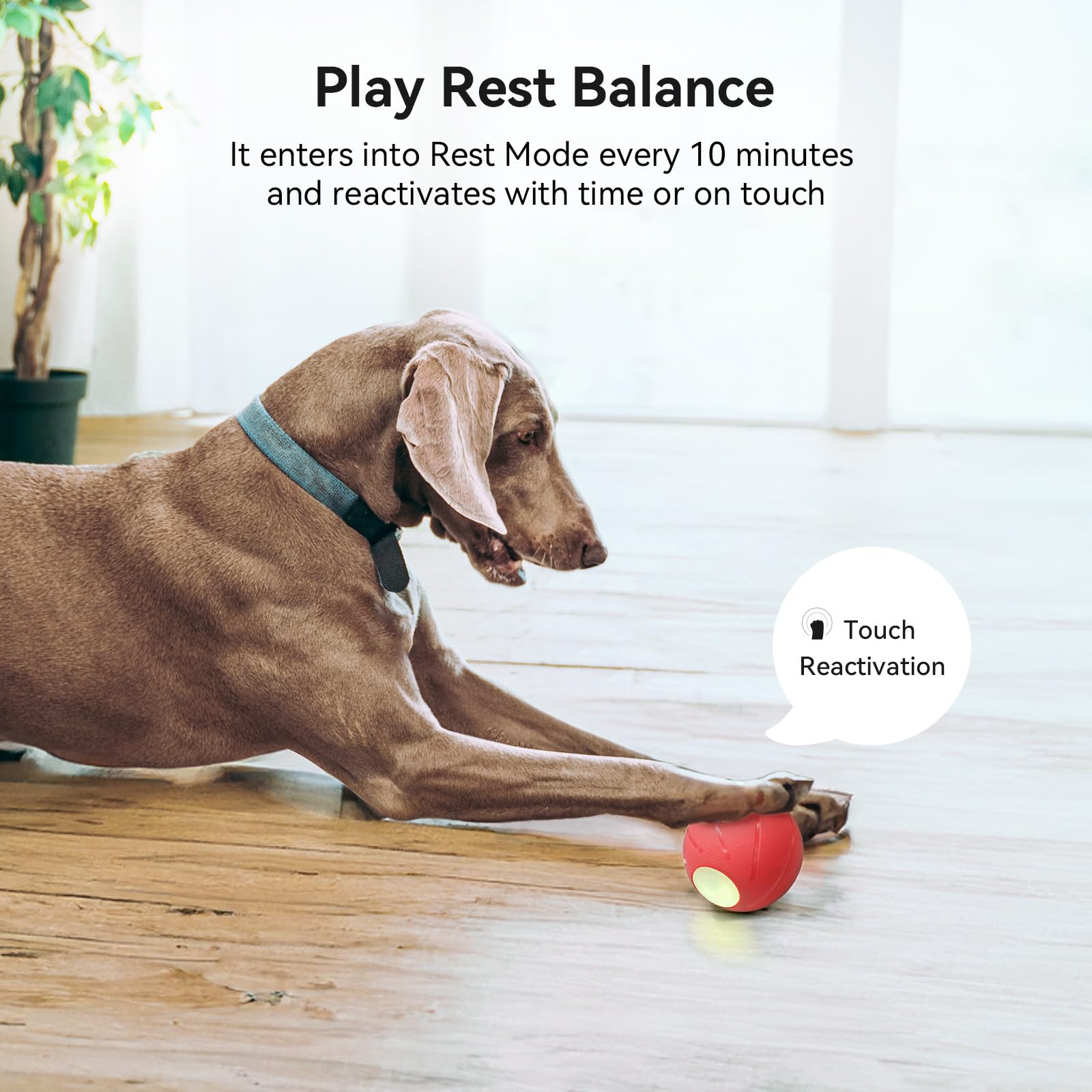Cheerble Wicked Ball PE bite resistance detail illustrating durable rubber