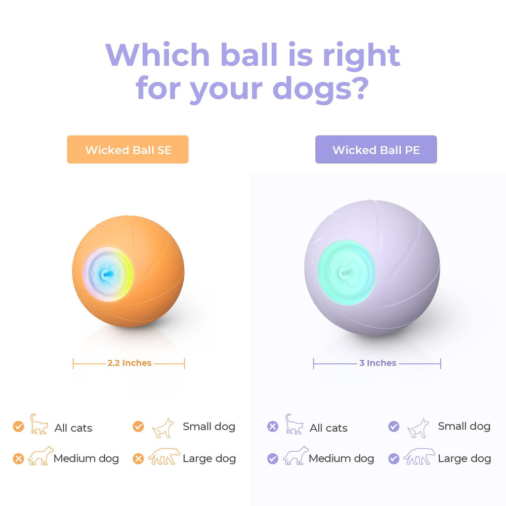 Cheerble Wicked Ball PE bounce action creates lively chases and exploration