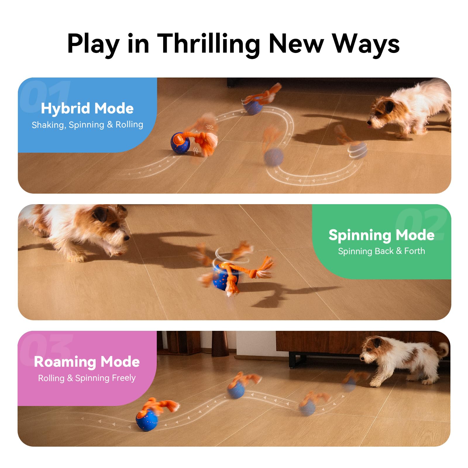 Cheerble Wicked Ball Rolly dynamic modes demonstrate engaging motion for energetic dogs.