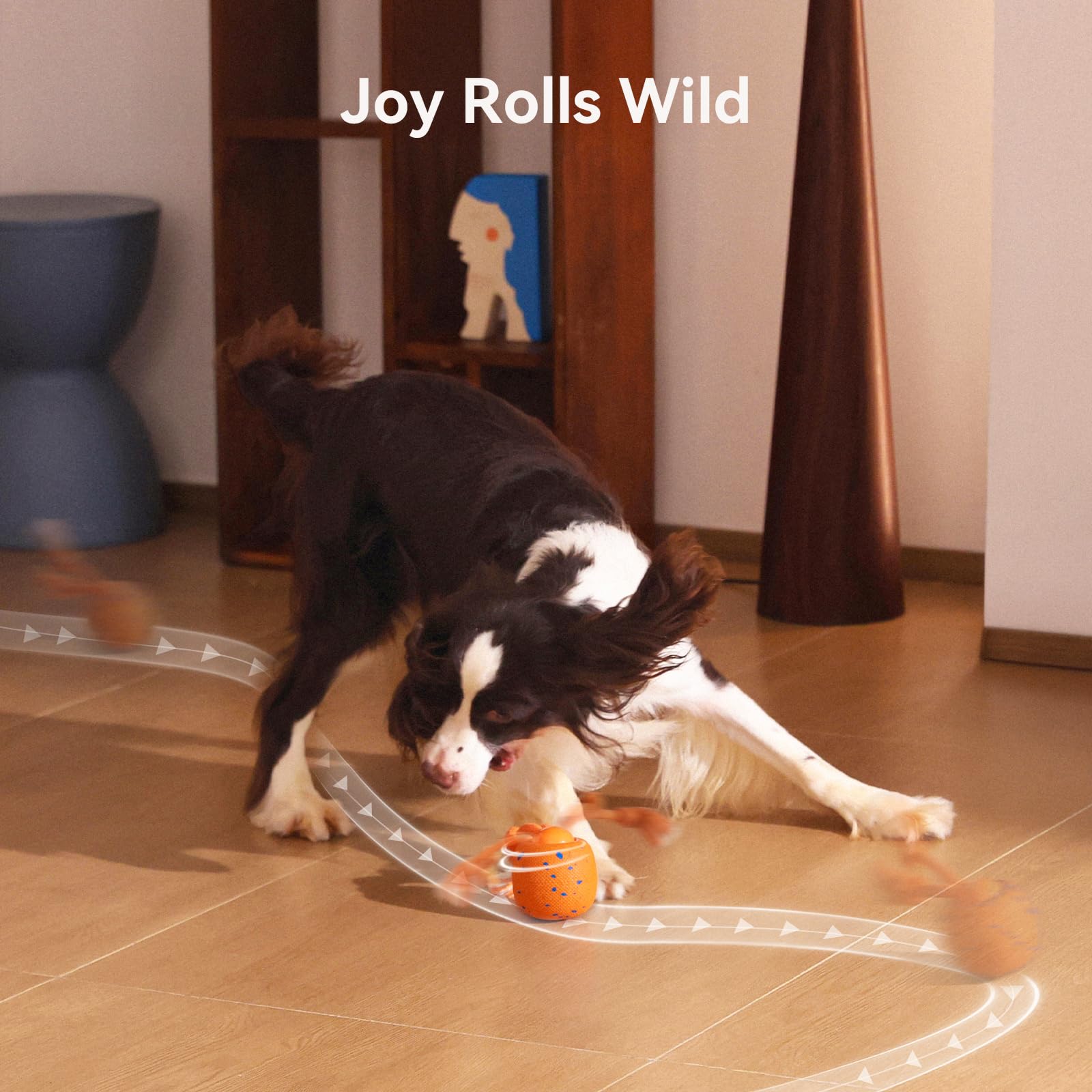 Cheerble Wicked Ball Rolly indoor-play scenario showing quiet active fun for dogs