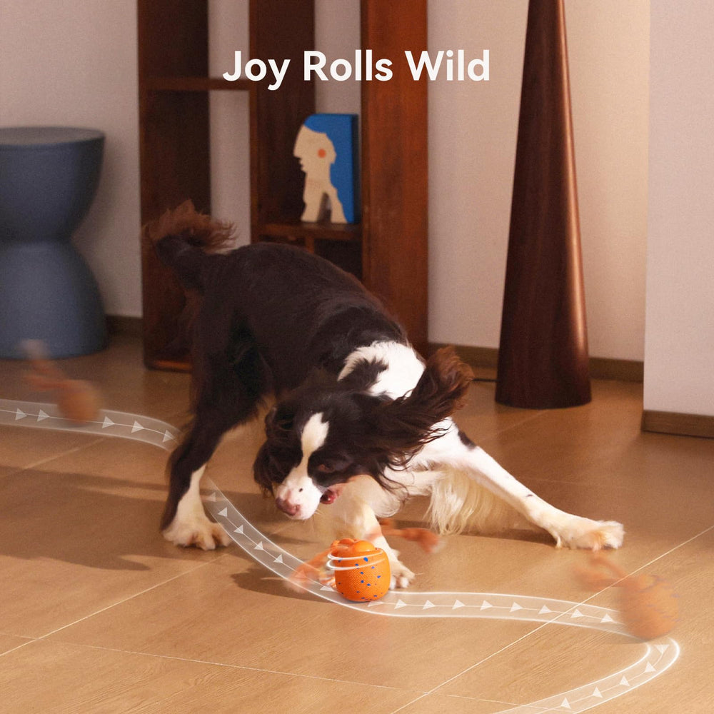 Cheerble Wicked Ball Rolly indoor-play scenario showing quiet active fun for dogs