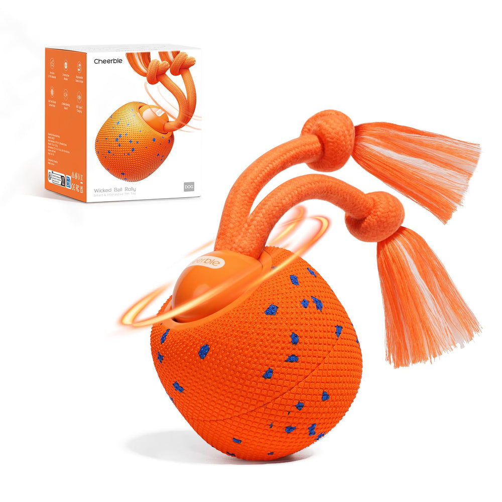 Cheerble Wicked Ball Rolly shell swap showing color variety for fresh indoor play sessions