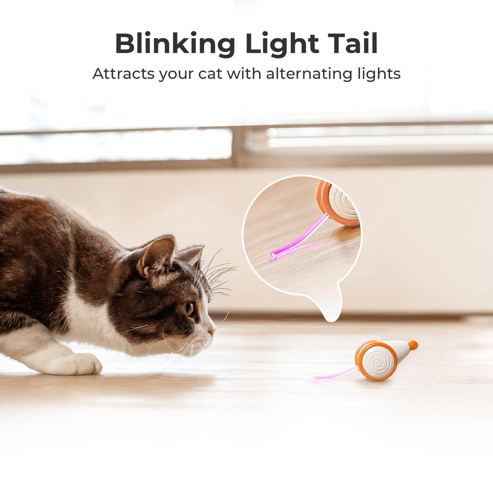 Cheerble Wicked Mouse auto-play mode maintains safe, engaging sessions.