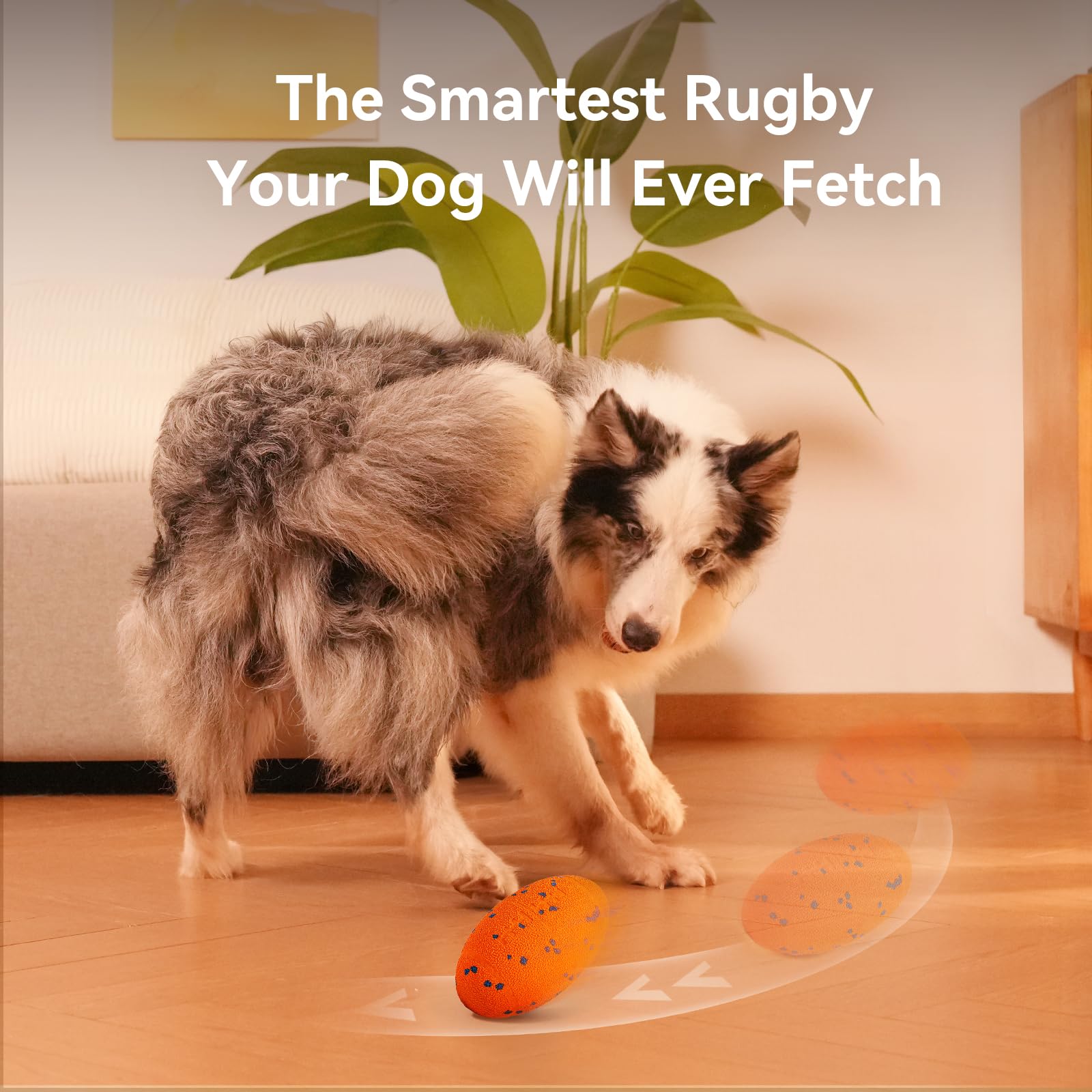 Cheerble Wicked Rugby E-TPU material showcases a durable, bounce-ready surface.