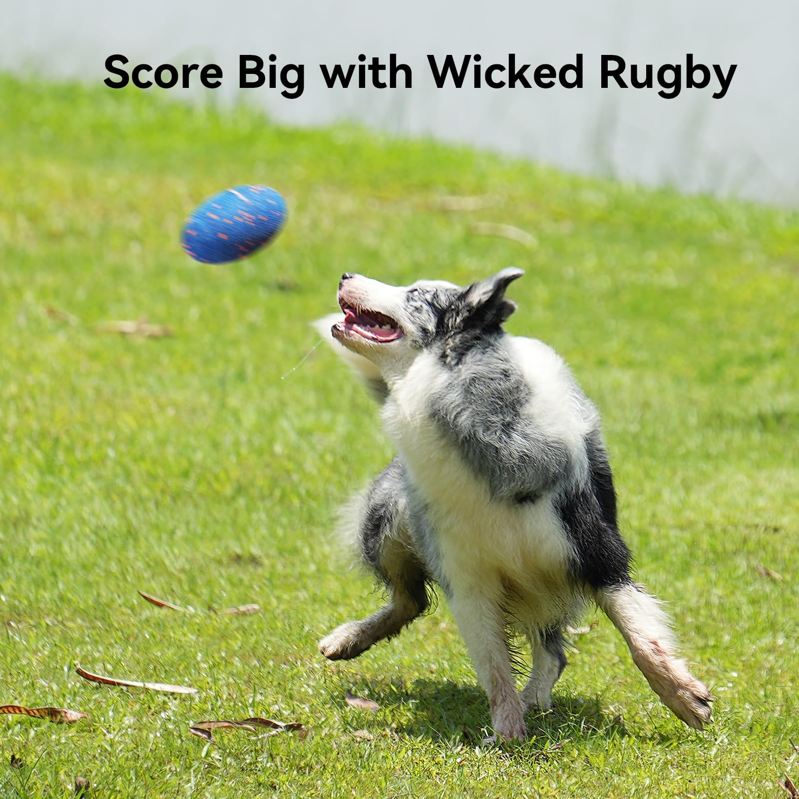 Cheerble Wicked Rugby toy indoor outdoor use highlights versatile play for dogs