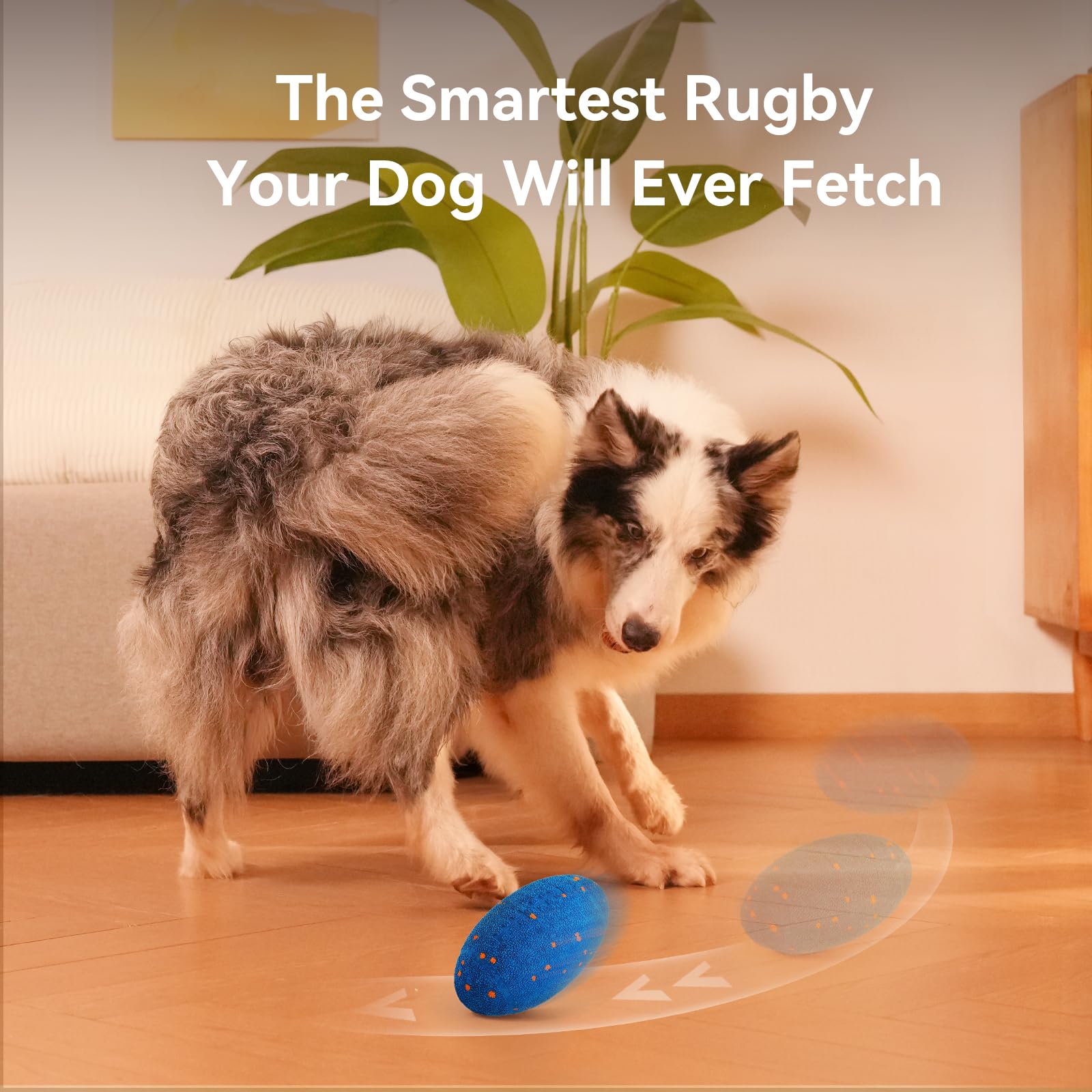 Cheerble Wicked Rugby toy replacement shell illustrates quick swap to refresh playtime