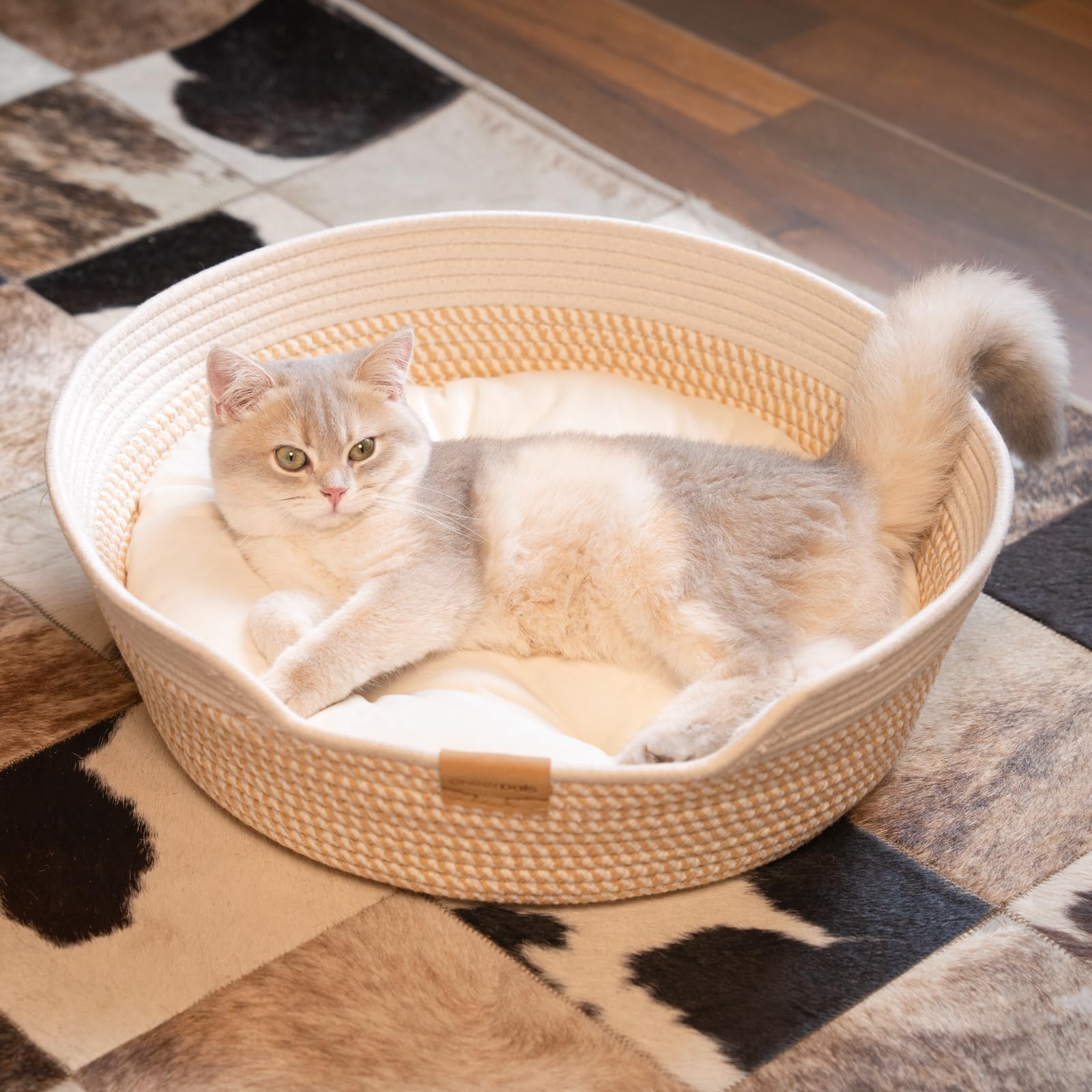 CHEERHOME PETS kitten-nap in basket shows cozy lounging option