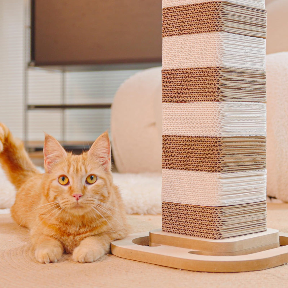 CHEERHOME PETS durable cardboard surface cleans easily after play