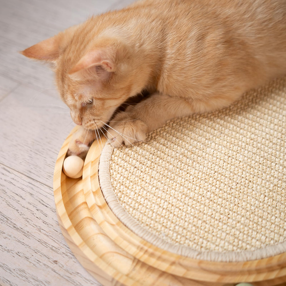 CHEERHOME PETS indoor cat exercising on sturdy scratcher.