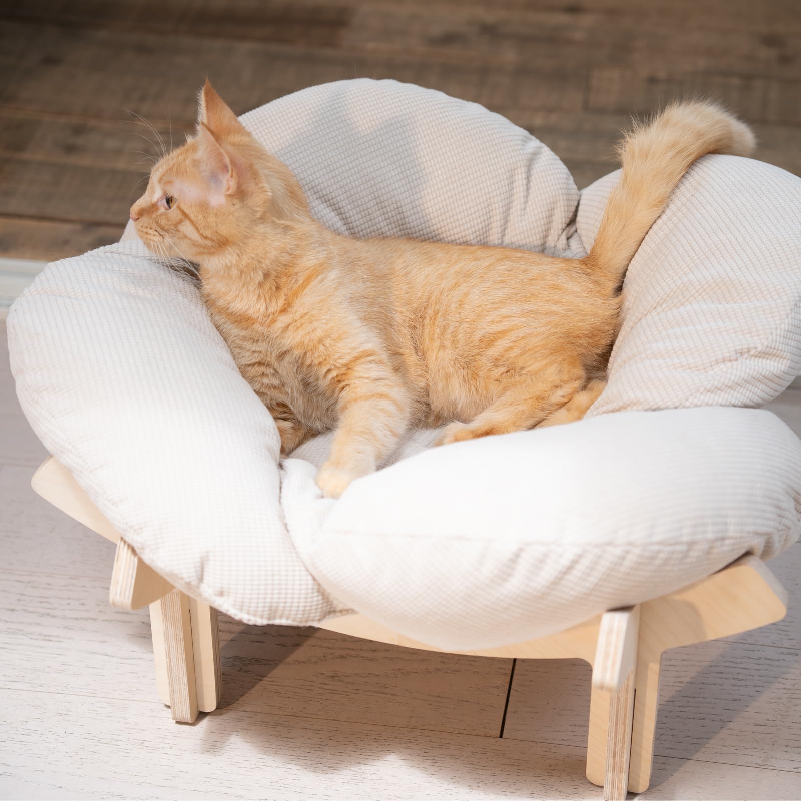 CHEERHOME PETS petal-inspired design adds fashionable charm to any room.