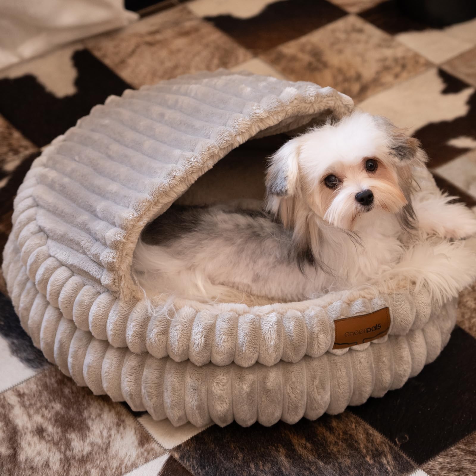 CHEERPALS cat bed suitable for small dogs and cats.