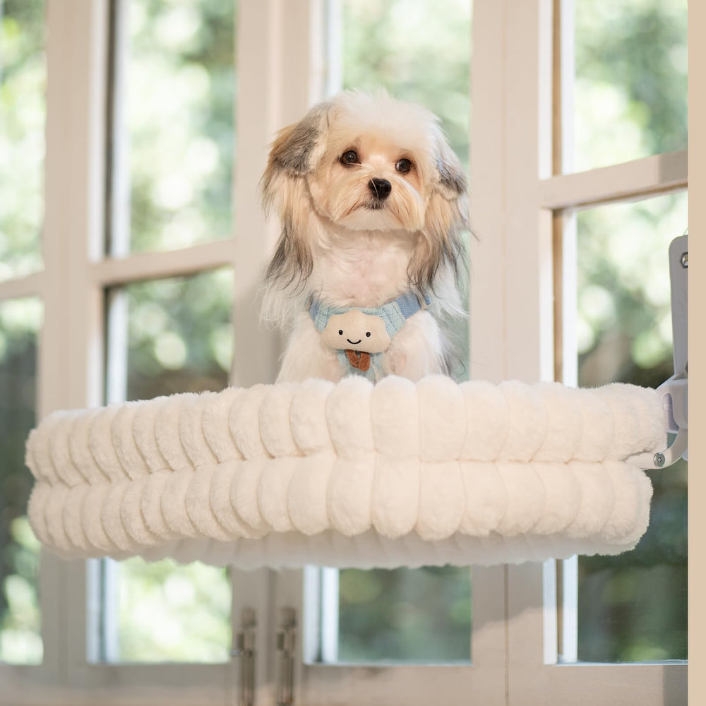 CHEERPALS large-cat window bed support shows up to 40 lbs confident lounging