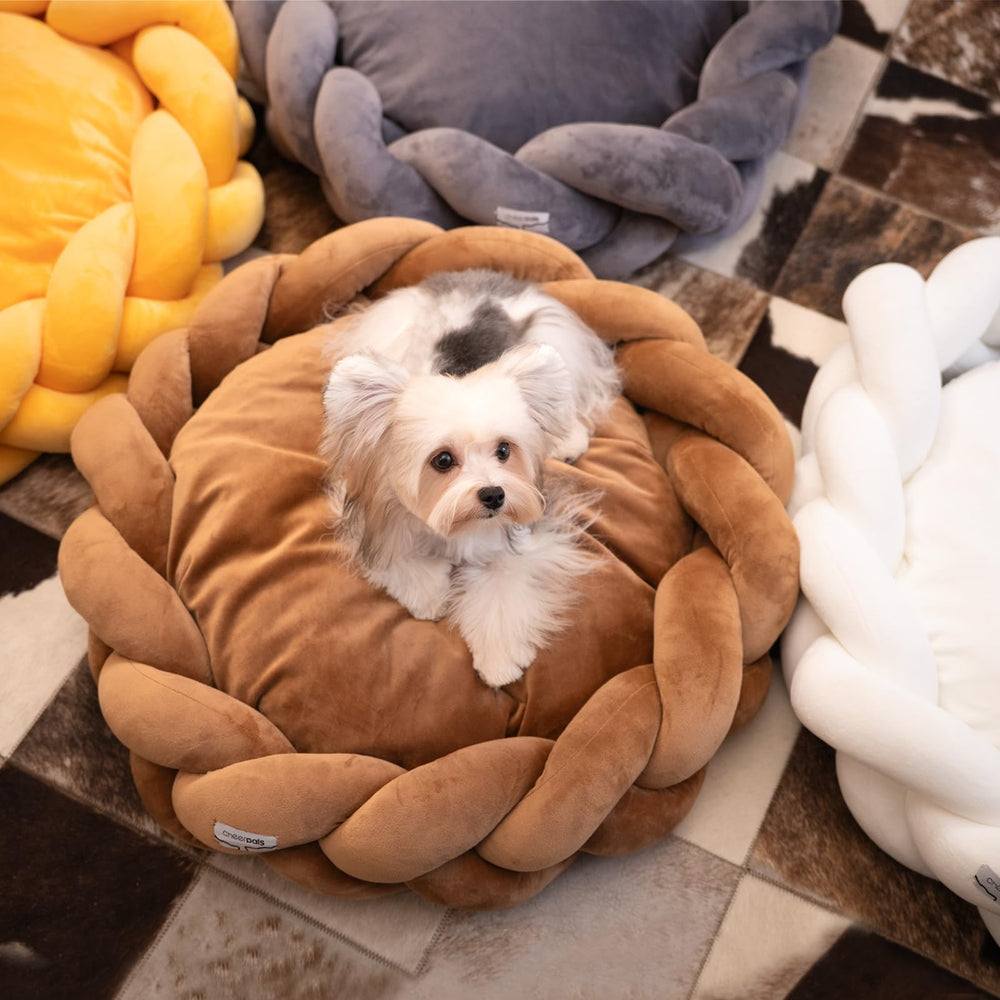 CHEERPALS weave cat bed durable high-density cotton fill supports comfortable naps