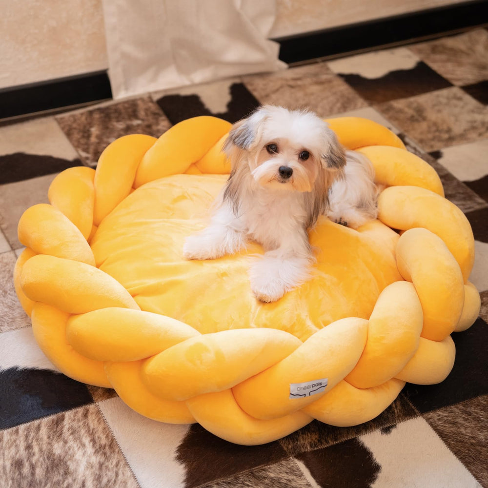 CHEERPALS egg-shell yellow bed suits small dogs or cats seeking a cozy retreat