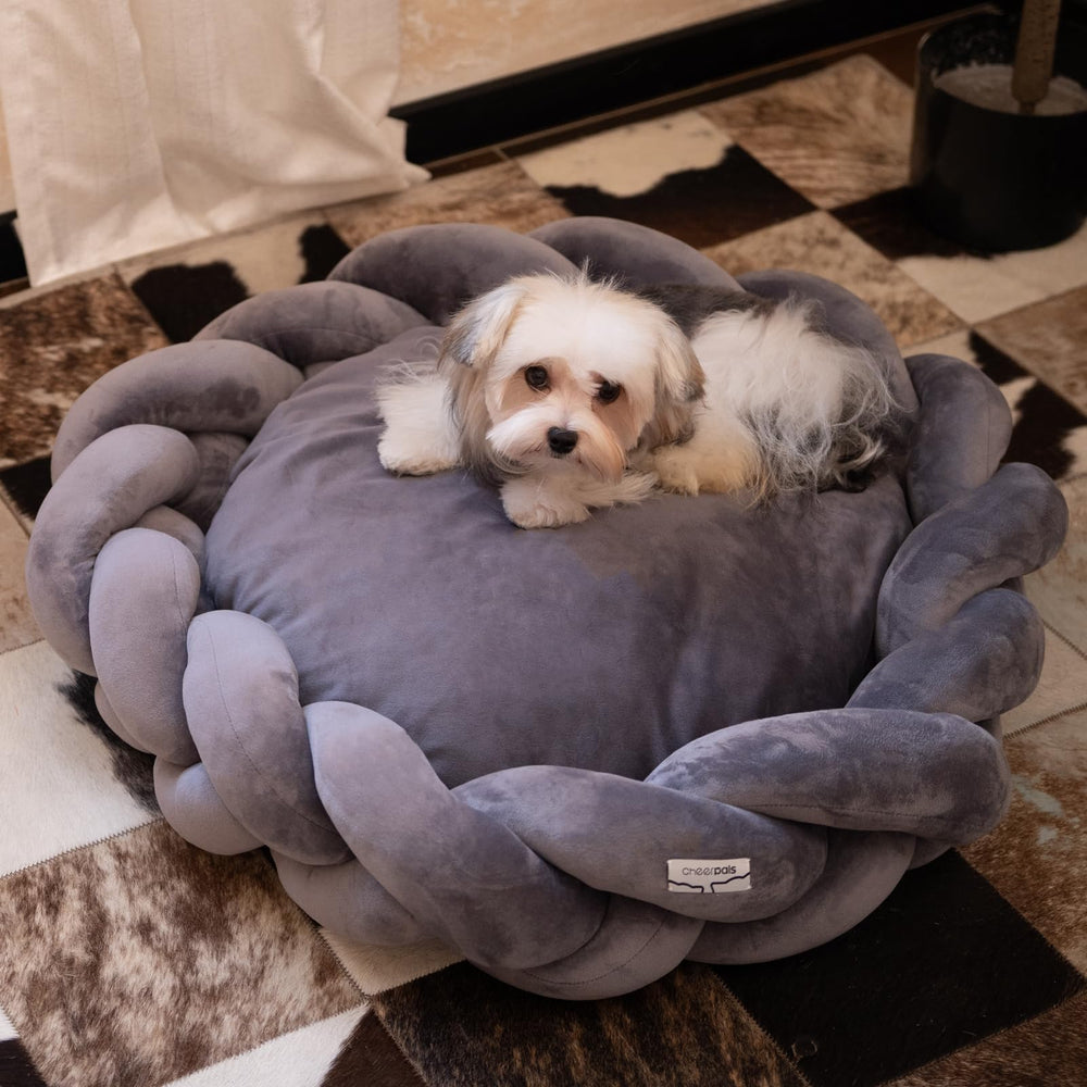 CHEERPALS weave cat bed small-dog compatibility offers versatile use for compact pets
