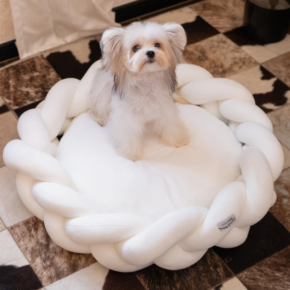 CHEERPALS weave cat bed plush texture supports everyday naps.