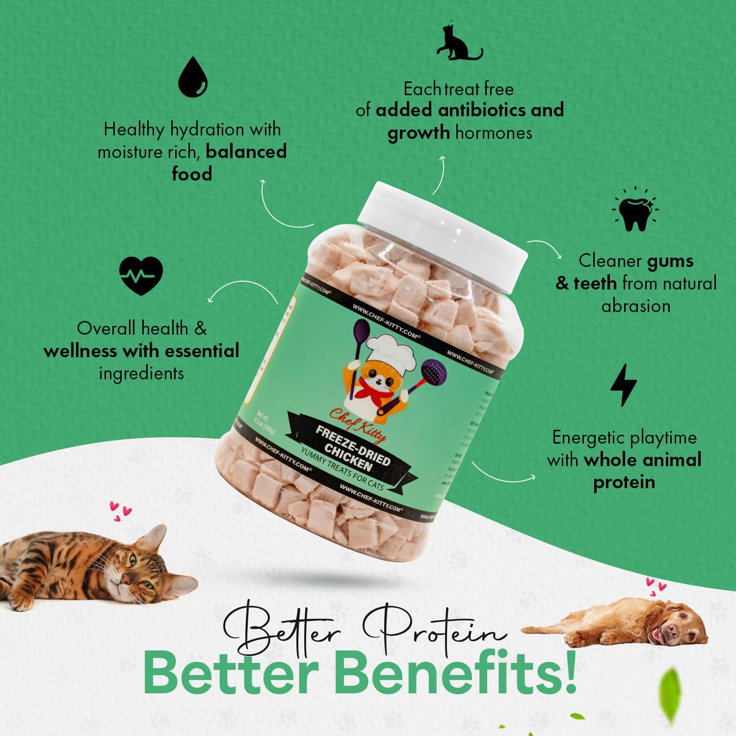 Chef Kitty freeze-dried chicken treat cat eating illustrates a high-protein snack.