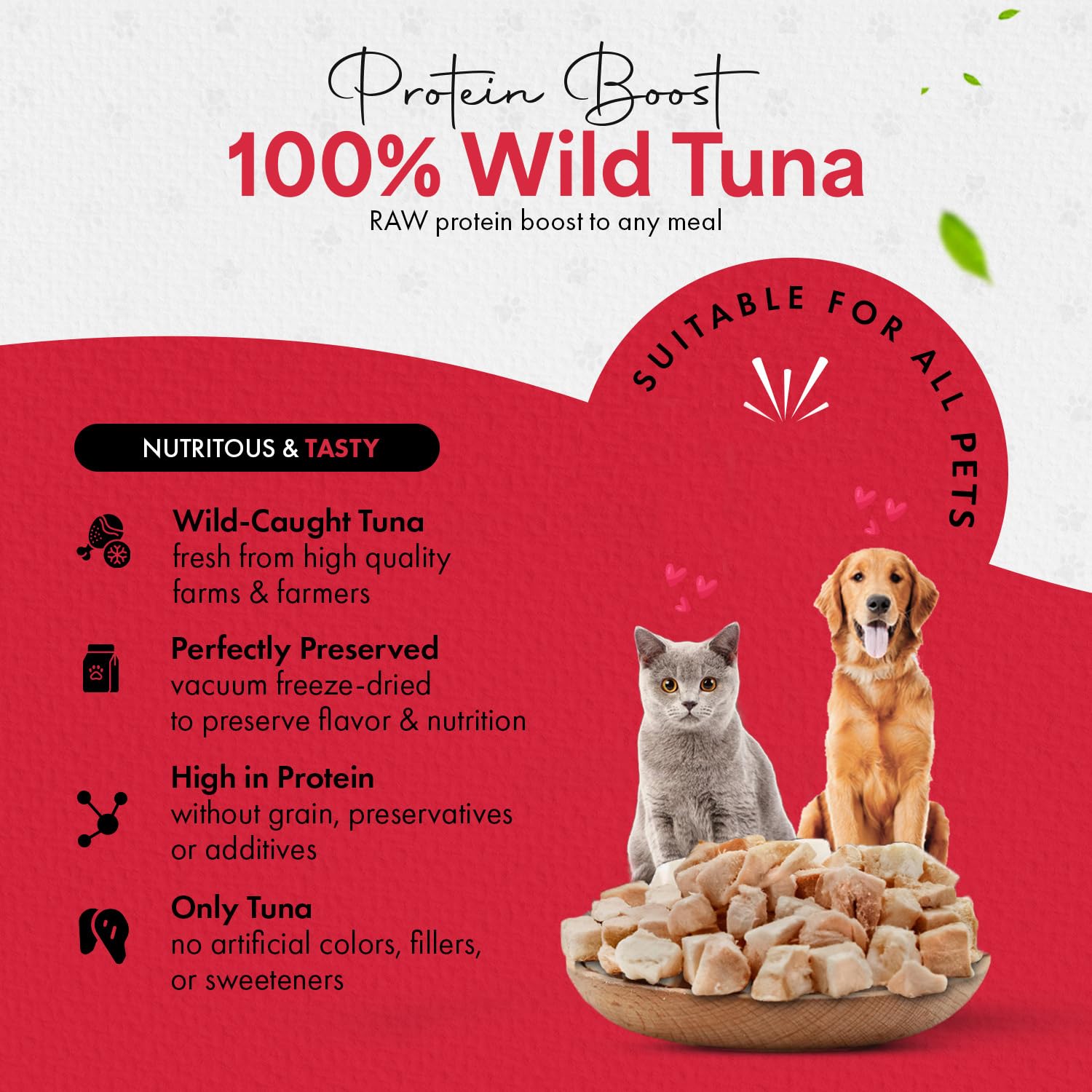 Chef Kitty tuna treats being rehydrated for softer texture demonstration.