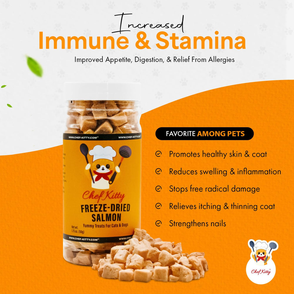 Chef Kitty proteína alta para gatos y perros.