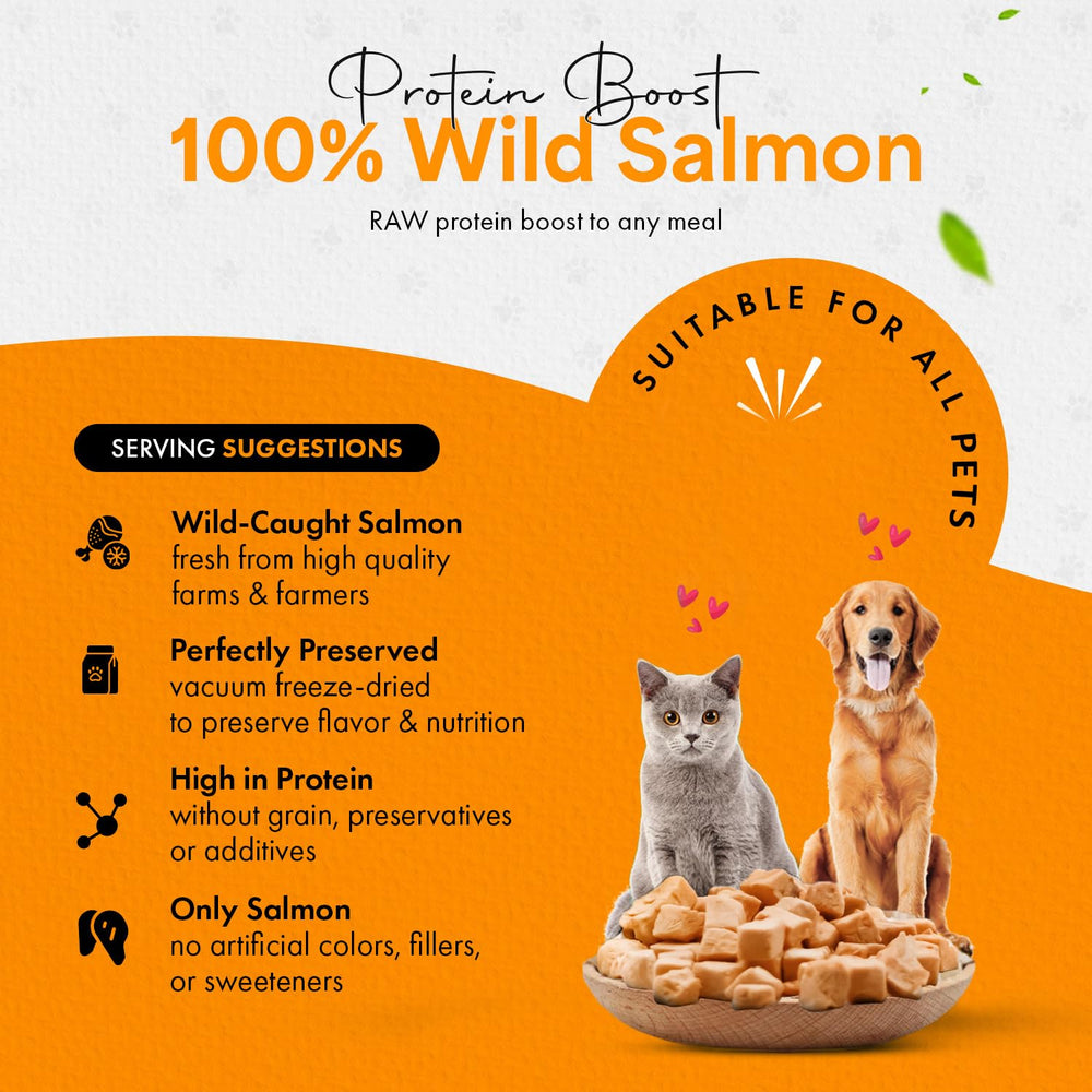 Chef Kitty salmón ingrediente único para snack natural.