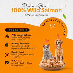 Chef Kitty salmón ingrediente único para snack natural.