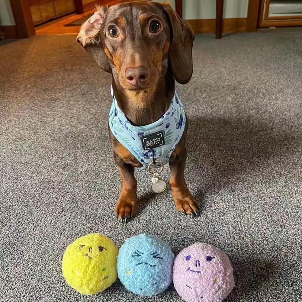 CHEWFFON dog enrichment ice cream toy suitable for all sizes