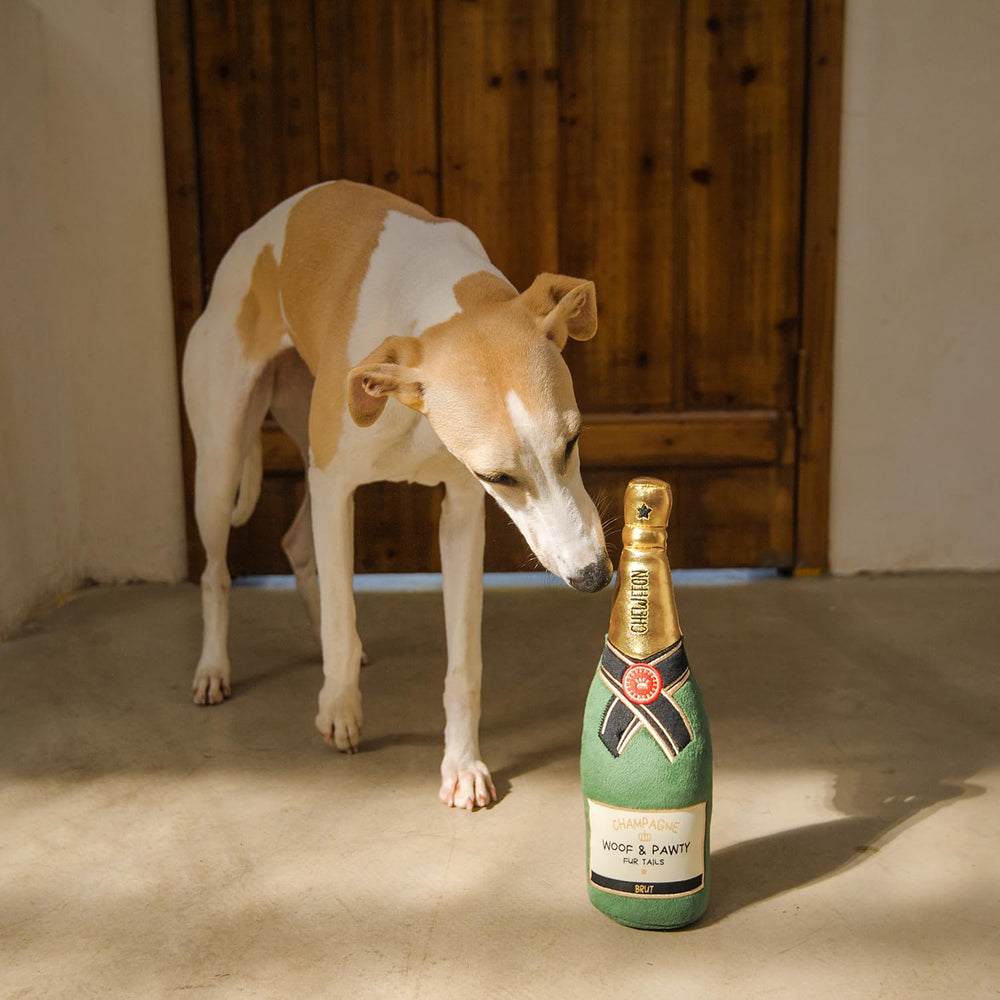 CHEWFFON Juguete regalo botella champán para cumpleaños de mascotas