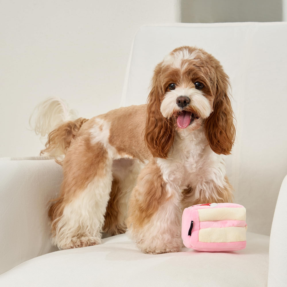 CHEWFFON small-medium dogs toy suits multiple sizes for snuffle fun and training sessions.