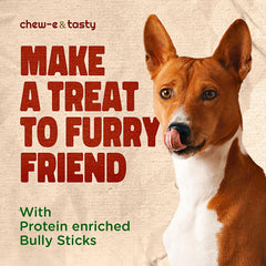 chew-e&tasty dogs enjoying bully sticks outdoors shows joyful chewing experience.