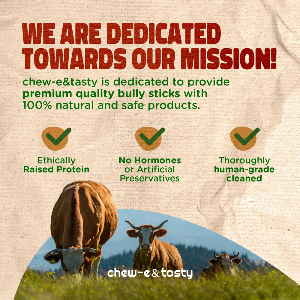 Chew-e&tasty rawhide-free chew as a boredom-relief option for dogs