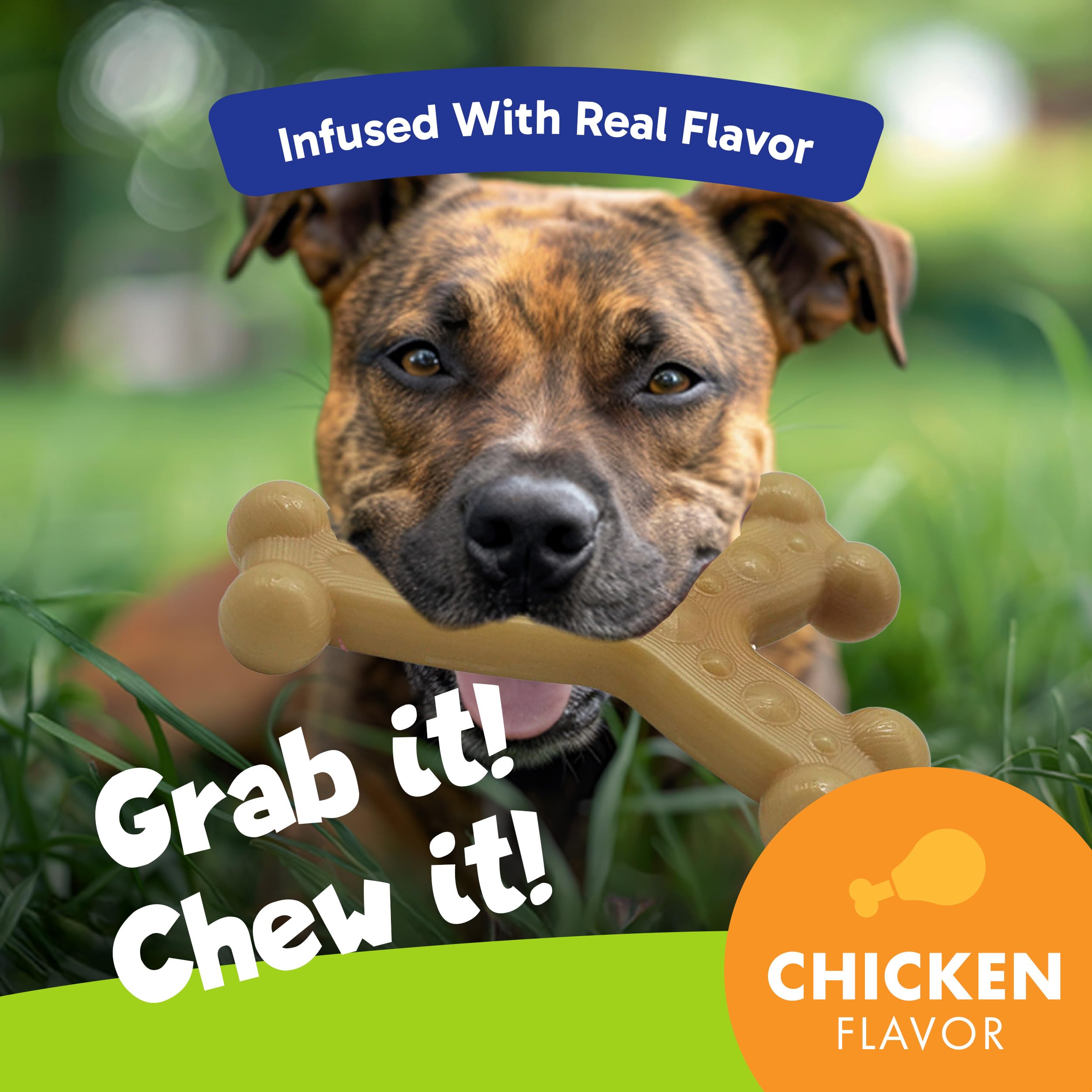 Chew'ems chicken-flavor chew toy to attract chewing sessions