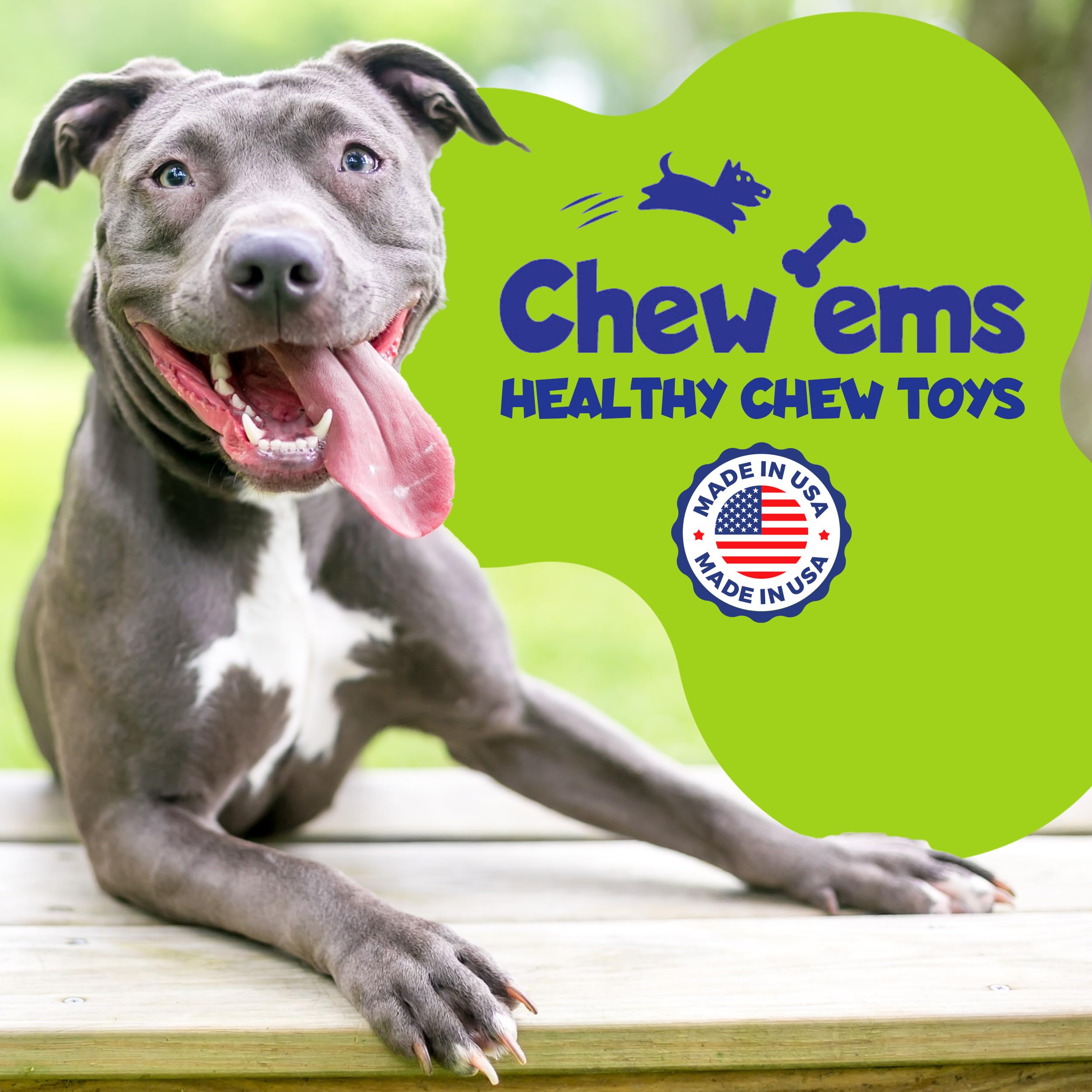 Chew'ems US-made chicken dog toy demonstrates sturdy construction for large breeds