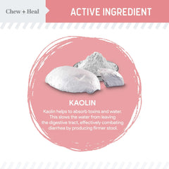 Chew + Heal Labs anti-diarrhea dosing spoon shows easy administration.
