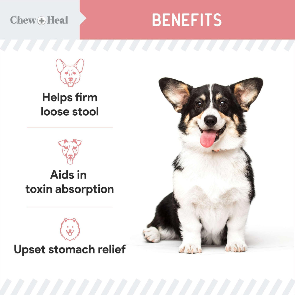 Chew + Heal Labs anti-diarrhea liquid bottle pouring into food.